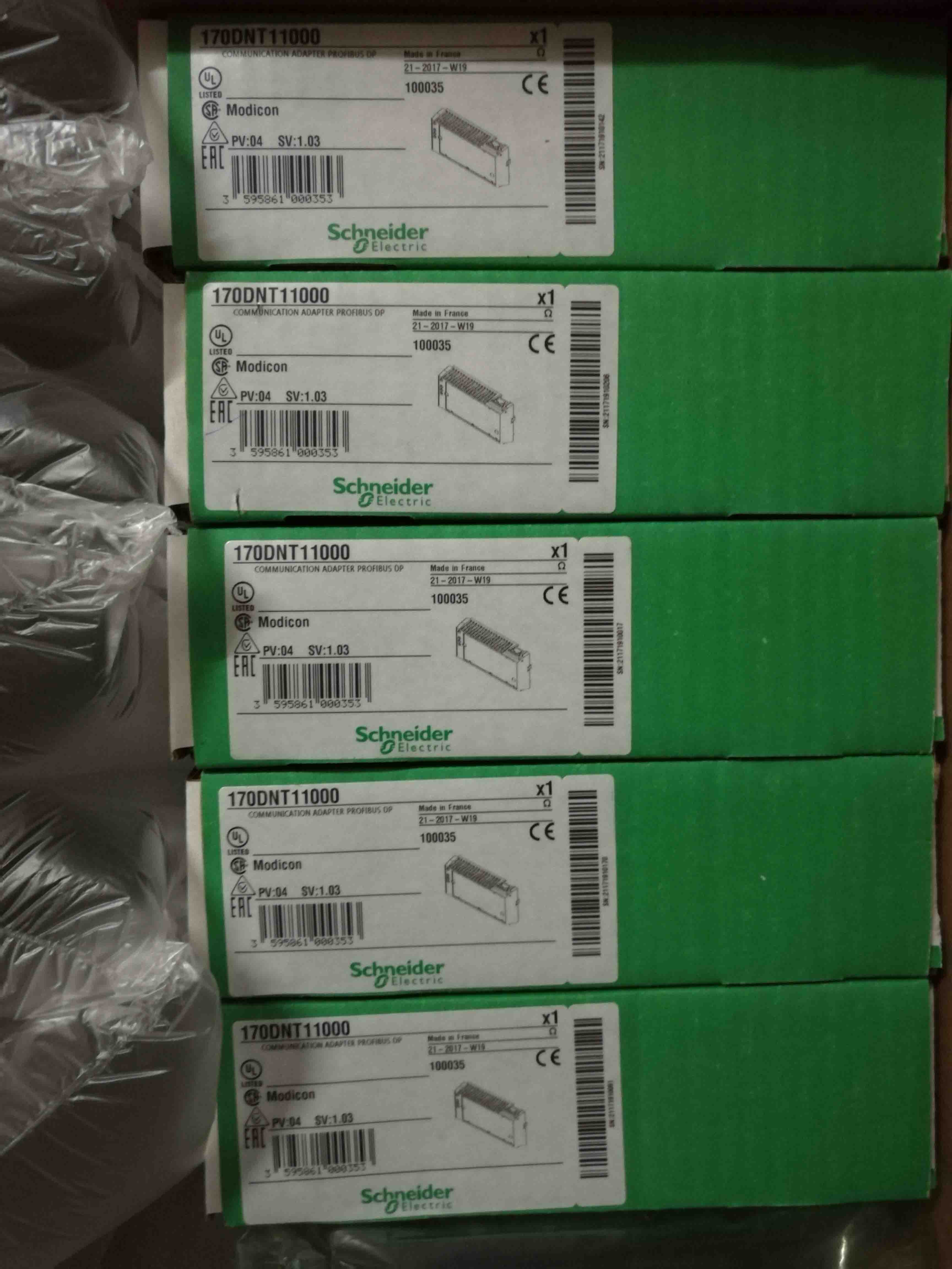 170DNT11000 Schneider Modicon Momentum Brandy Original Factory Sealed New